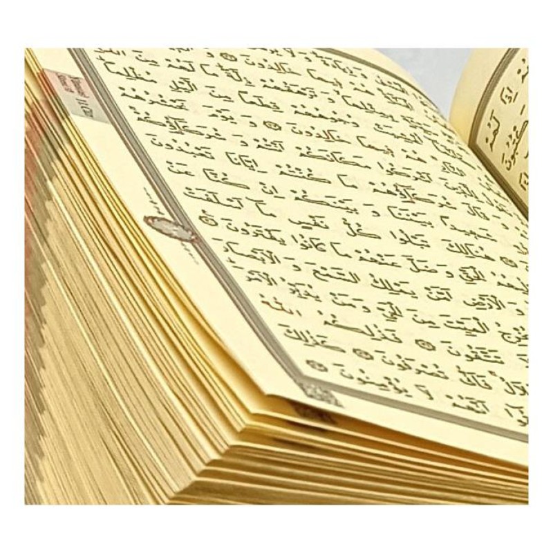 Kuranı Kerim Kadife Kaplı Pudra - Çanta Boy